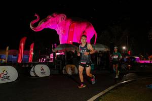 BIB: 
                            <button type="button" onclick="openModal(26535125)" class="btn btn-primary btn-sm float-right btn-popup" data-toggle="modal" data-target=".modal-high-quality">
                        <i class="fas fa-shopping-cart"></i> Add to Cart
                    </button>
                                            <button type="button" onclick="isThisMe(26535125, true)" class="btn btn-success btn-sm float-right btn-popup btn-isme hidden" data-toggle="tooltip" data-placement="bottom" title="นี่คือรูปของคุณใช่ไหม คลิกที่นี่เพื่อเอาเข้าอัลบั้ม">
                        <i class="fas fa-plus"></i> Add to album
                    </button>
                    <button type="button" onclick="isThisMe(26535125, false)" class="btn btn-warning btn-sm float-right btn-popup btn-isnotme hidden">
                        <i class="fas fa-ban"></i> Remove from album
                    </button>